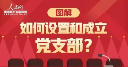 一图带你读懂：如何设置和成立党支部？