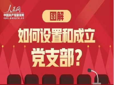一图带你读懂：如何设置和成立党支部？