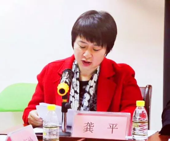  2017年度社会组织党组织书记述职评议会召开，协会党支部书记、秘书长龚平现场述职 (图2)